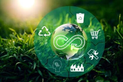 Elektromobilis įmonei: ar yra ką rinktis iki 50 tūkst. eurų ir ar tai apsimoka?