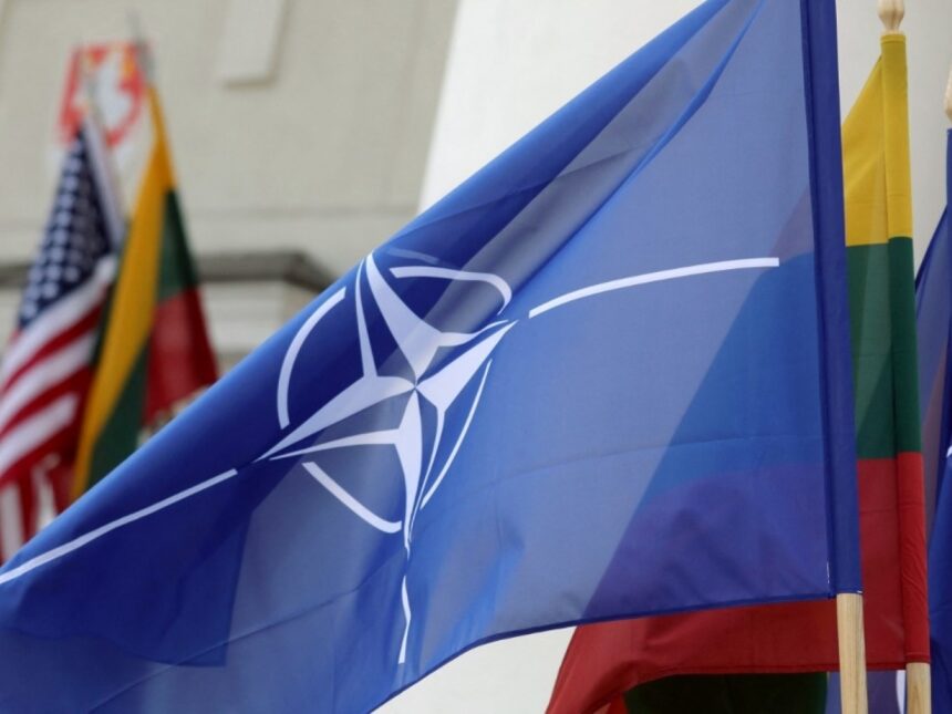 NATO viršūnių susitikimas: 368 automobiliai, 2,2 mln. eurų, viena pradurta padanga