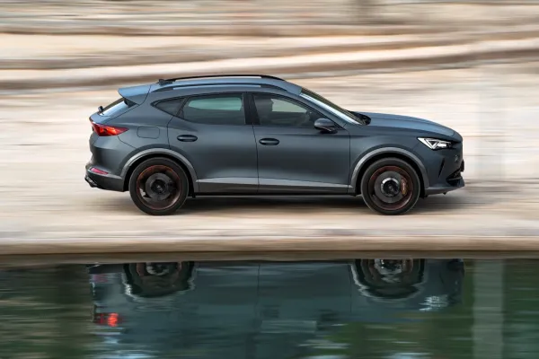 Pasakė, kodėl neverta pirkti automobilio vien tik dėl arklio galių techniniame pase