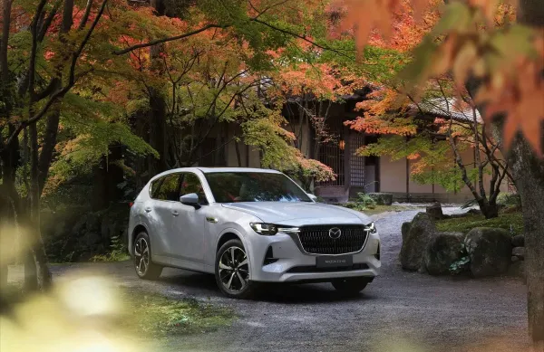 Kodėl automobilio kaina realybėje skiriasi nuo reklamos
